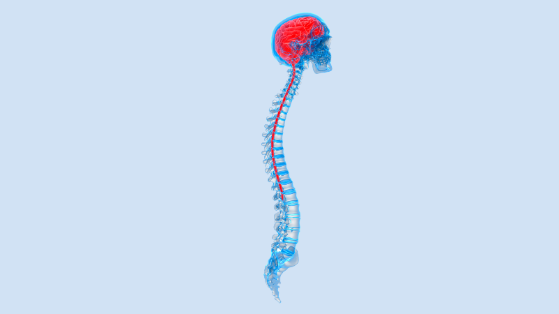 Treatment after spinal cord injury - Lex Medicus Publishing